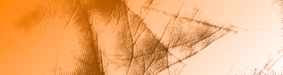 Iscrizioni Medicina Geriatrica_2018_img01